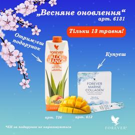 Spring Renewal!